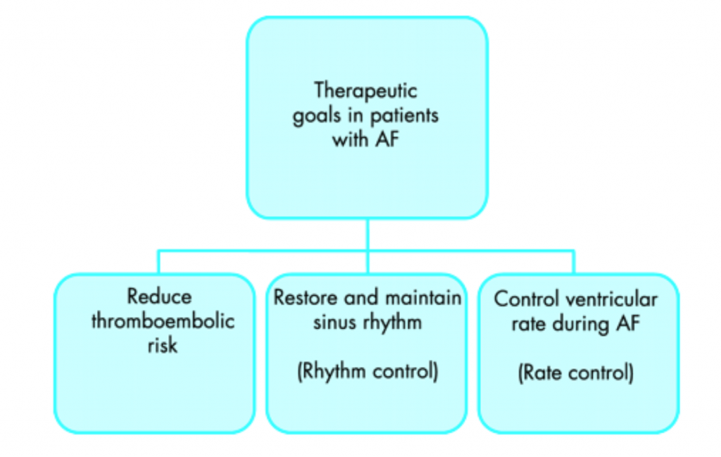 Atrial Fibrillation Treatment 1